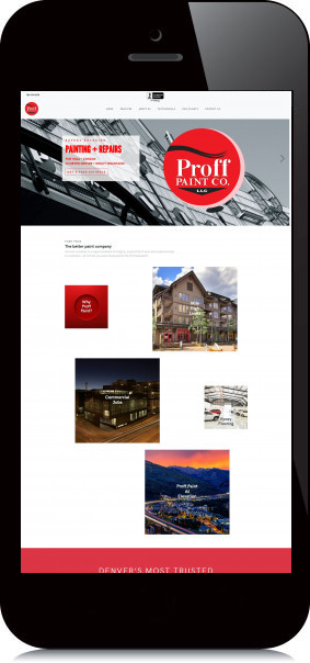 Mobile Screenshot of Proff Paint