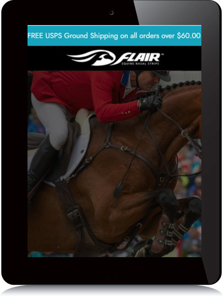 Tablet Screenshot of Flair strips